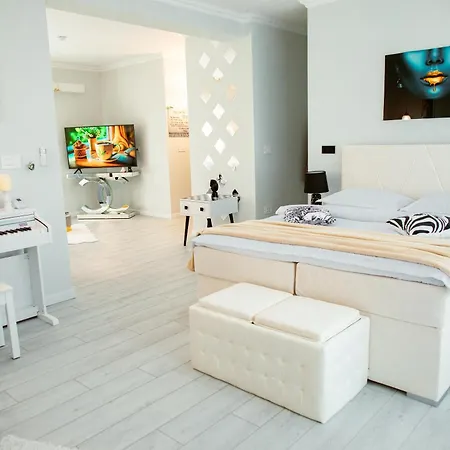 Apartment Am Comfort And Parking Timisoara