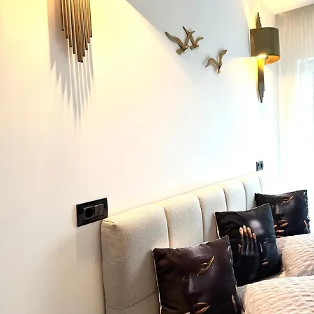 Am Comfort And Parking ティミショアラ