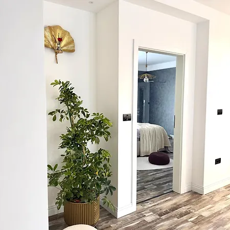 Apartment Am Comfort And Parking