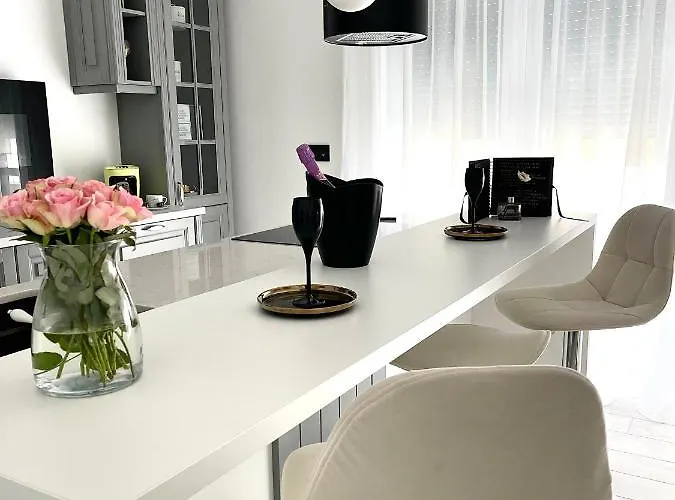 Am Apartments Timisoara Comfort And Parking *