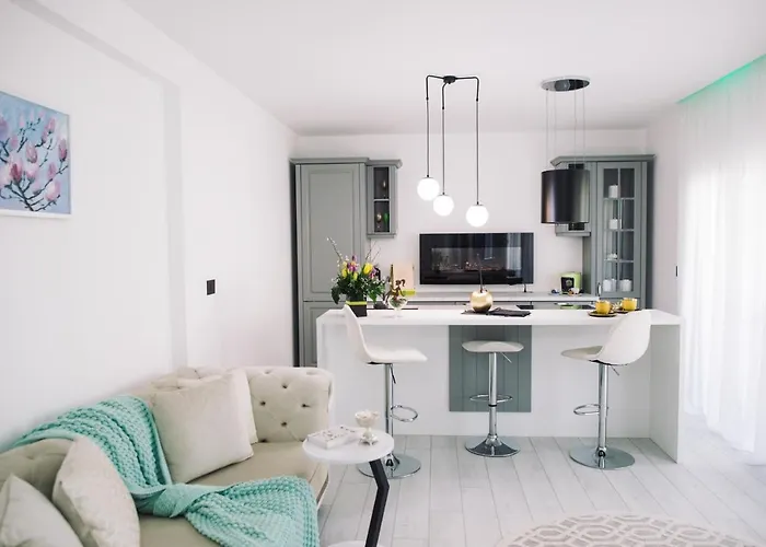 Am Comfort And Parking * Timişoara