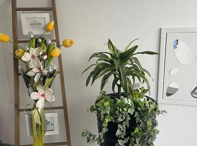 Am Comfort And Free Parking Apartment *