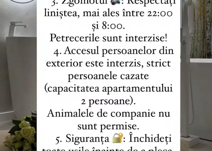 Appartement Am Apartments Timisoara Comfort And Parking