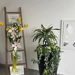 Am Comfort And Parking Apartamento *