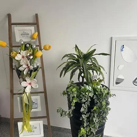 Am Apartment *